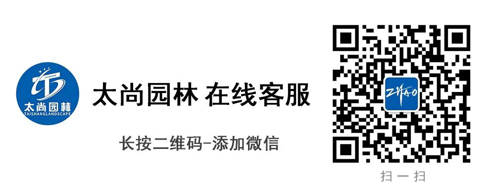 GA黄金甲(中国)最新官方网站